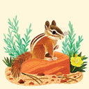 Animals of the NP Travel Match Game