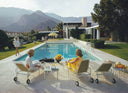Poolside Gossip -  1000 Piece Puzzle