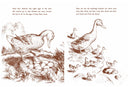 Make Way For Ducklings