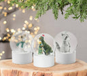 Dinosaur & Tree Snow Globe