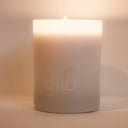 Shades Collection: Basil Mint + Lavender Candle