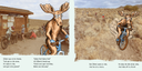 Gilbert The Moose Goes Mountain Biking