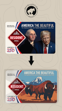 America the Beautiful National Parks Pass Sleeve
