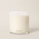 Cicada Autumnal Equinox Candle