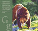 C is for Cowboy: A Wyoming Alphabet Picture Book