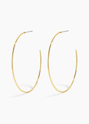 Electric Picks Homecoming Hoops