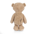 Bukowski Nobody Is Perfect Bear