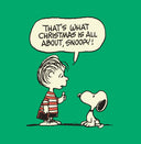 Charlie Brown's Christmas Stocking