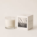 Cicada Wild Prairie Candle