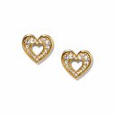 Enchanting Heart Earrings