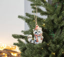 Winter Raccoon Ornament