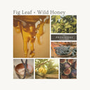 Hope & Hearth Fig Leaf & Wild Honey Candle